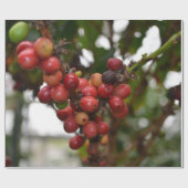 Papier Cadeau Grains de café du Honduras (Plat)