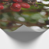 Papier Cadeau Grains de café du Honduras (Coin)