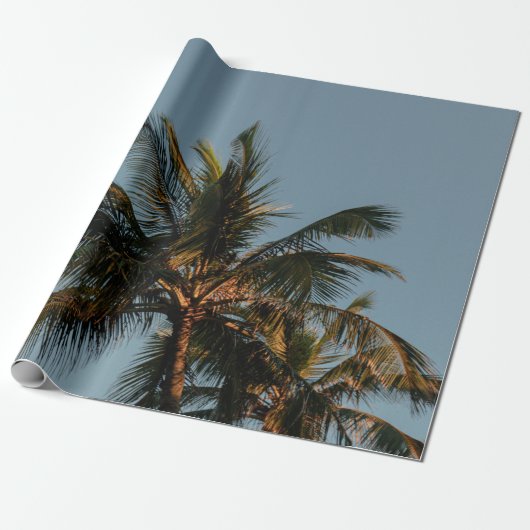 Papier Cadeau Grand cocotier (Déroulé)