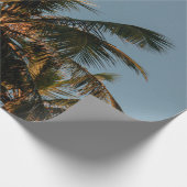 Papier Cadeau Grand cocotier (Coin)