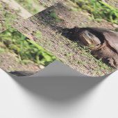 Papier Cadeau Grand gars (Coin)