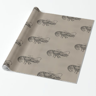 Papier Cadeau Grand homard de Sandy