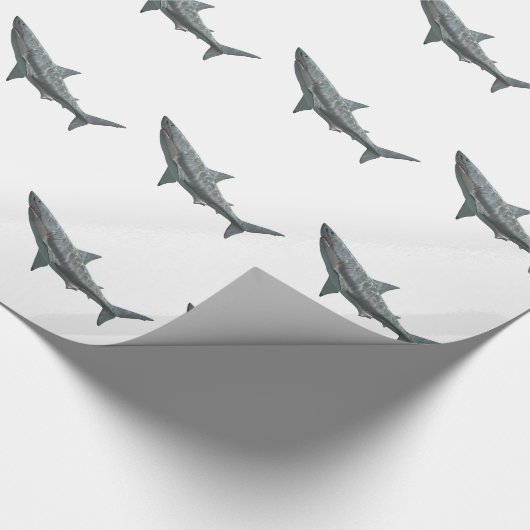 Papier Cadeau Grand requin blanc (Coin)