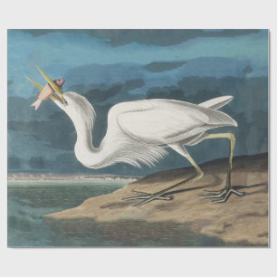 Papier Cadeau Grande Peinture de la faune d'Audubon Heron blanc