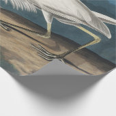 Papier Cadeau Grande Peinture de la faune d'Audubon Heron blanc (Coin)