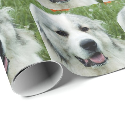 Papier Cadeau Grands Pyrénées (Coin rond)