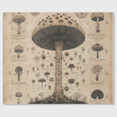 Papier Cadeau Graphique botanique de champignons vintage (10) (Plat)