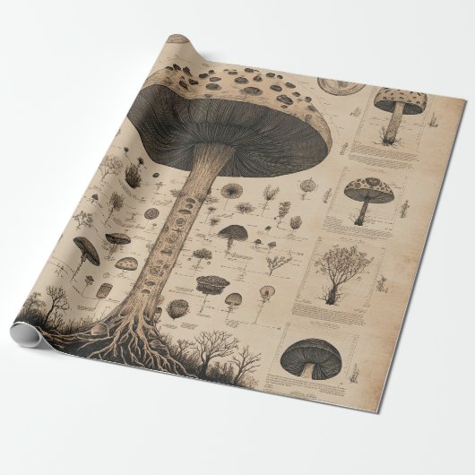 Papier Cadeau Graphique botanique de champignons vintage (10) (Déroulé)