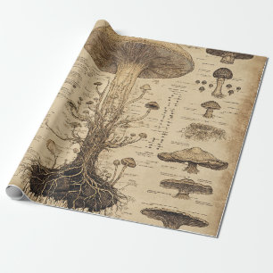 Papier Cadeau Graphique botanique de champignons vintage (5)