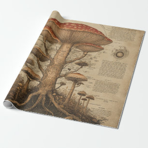 Papier Cadeau Graphique botanique de champignons vintage (9)