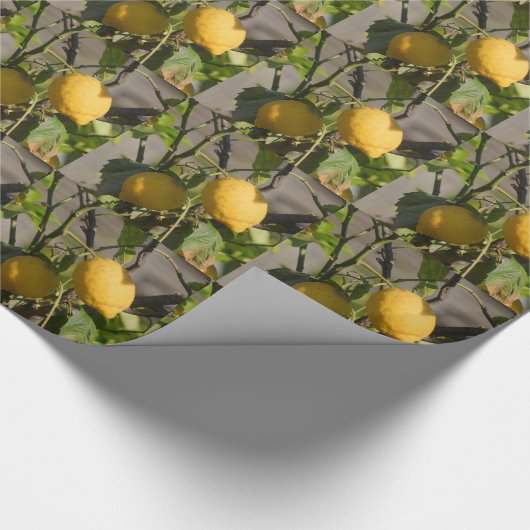 Papier Cadeau Graphiques Citron Espagnol (Coin)