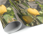 Papier Cadeau Graphiques Citron Espagnol (Coin rond)