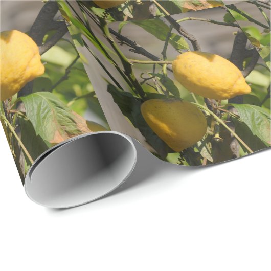 Papier Cadeau Graphiques Citron Espagnol (Coin rond)