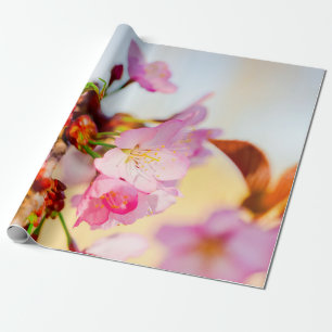 Papier Cadeau Grappe Verticale Des Fleurs Sakura