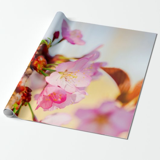Papier Cadeau Grappe Verticale Des Fleurs Sakura (Déroulé)