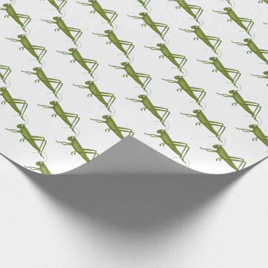 Papier Cadeau Grasshopper en blanc (Coin)