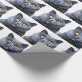 Papier Cadeau Gray cat yellow (Coin)