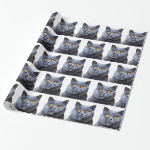 Papier Cadeau Gray cat yellow
