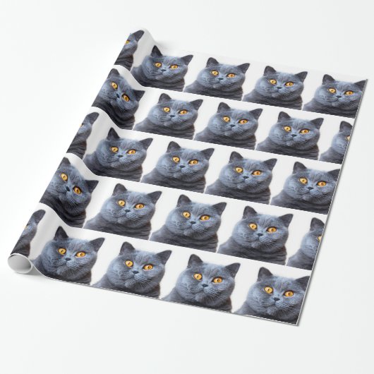 Papier Cadeau Gray cat yellow (Déroulé)