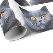 Papier Cadeau Gray cat yellow (Coin rond)