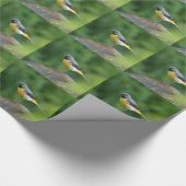 Papier Cadeau Gray Wagtail - oiseau (Coin)
