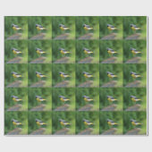 Papier Cadeau Gray Wagtail - oiseau (Plat)