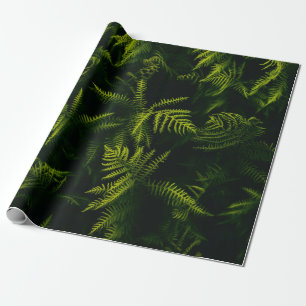PAPIER CADEAU GREEN AND YELLOW LEAF PLANT