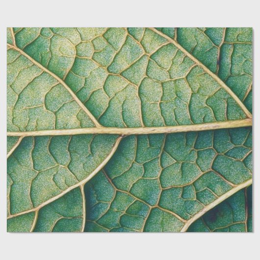 Papier Cadeau Green leaf (Plat)