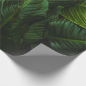 PAPIER CADEAU GREEN-LEAFED PLANT (Coin)