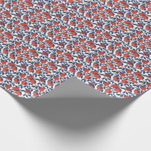 Papier Cadeau Grenade (Coin)