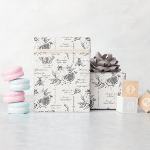 Papier Cadeau Grenade et papillon de Méditerranée