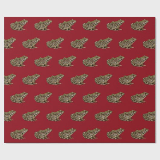 Papier Cadeau Grenouille (Plat)