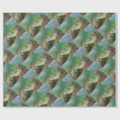 Papier Cadeau Grenouille (Plat)