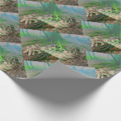 Papier Cadeau Grenouille (Coin)