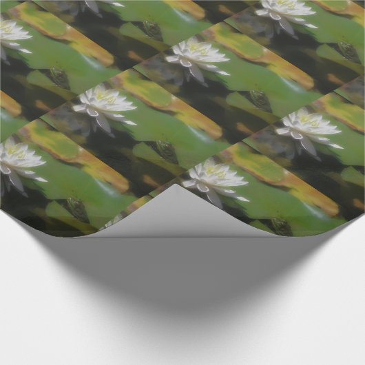 Papier Cadeau Grenouille Admirant L'Eau Lily Lotus Fleur Nature (Coin)