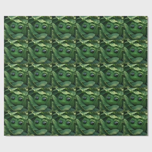Papier Cadeau Grenouille verte mignonne cachée dans des feuilles (Plat)