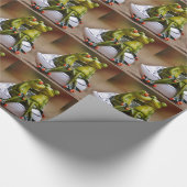 Papier Cadeau Grenouilles joyeuses (Coin)
