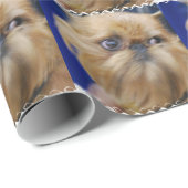 Papier Cadeau Griffon de Bruxelles (Coin rond)
