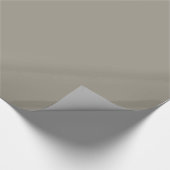 Papier Cadeau Gris argent métallisé mat solide (Coin)