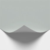 Papier Cadeau Gris clair solide (Coin)