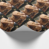 Papier Cadeau Gros morceau de bande (Coin)