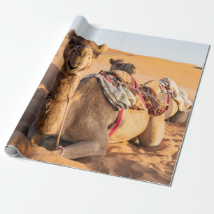 Papier Cadeau Gros plan sur un chameau dans le désert d'Oman