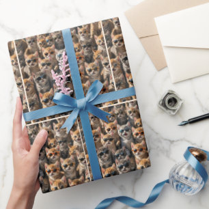 Papier Cadeau Groupe de Chats avec Lunettes de soleil