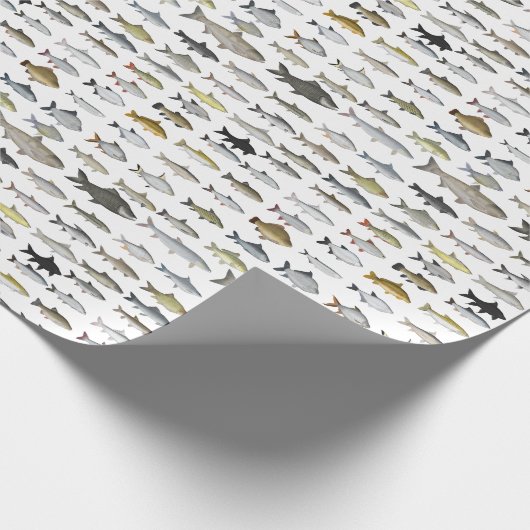 Papier Cadeau Groupe de poissons d'eau douce du sud-est (Coin)