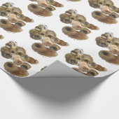 Papier Cadeau Groupe Pekingese (Coin)