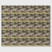 Papier Cadeau Groupement fier (Plat)