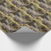 Papier Cadeau Groupement fier (Coin)
