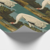 Papier Cadeau Grue blanche Audubon Peinture d'oiseaux (Coin)