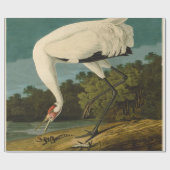 Papier Cadeau Grue blanche Audubon Peinture d'oiseaux (Plat)