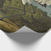 Papier Cadeau Grue blanche Audubon Peinture d'oiseaux (Coin)